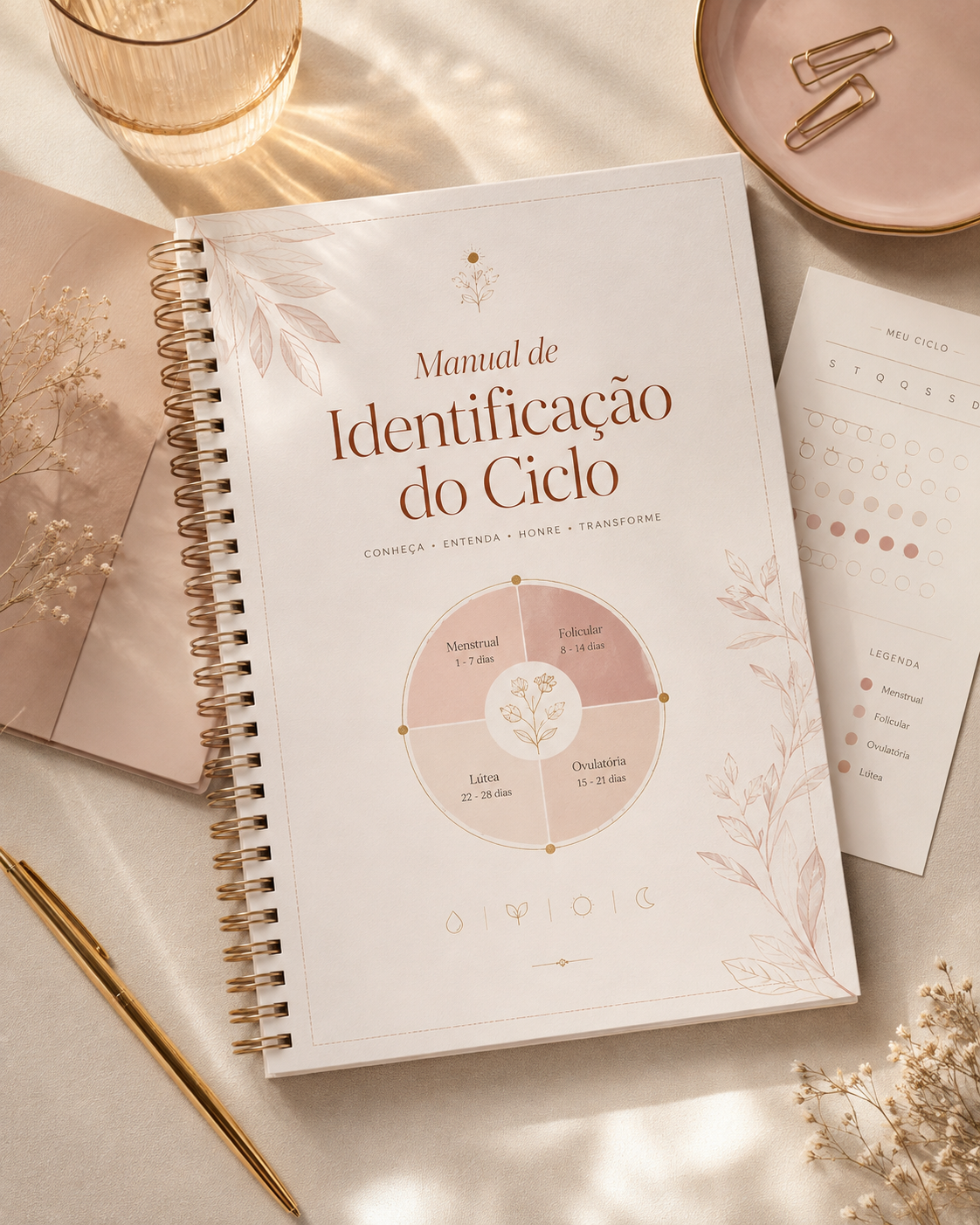 Manual de Identificação do Ciclo